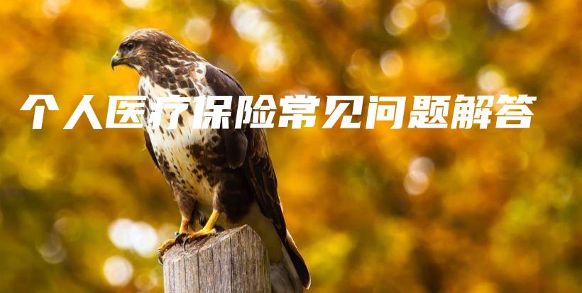 个人医疗保险常见问题解答-保点通