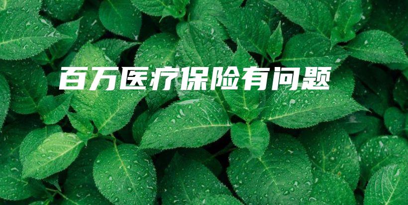 百万医疗保险有问题-保点通