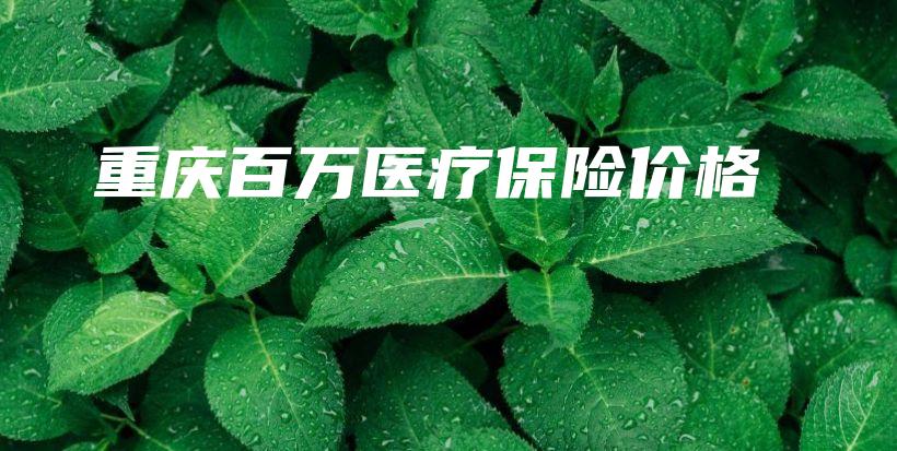 重庆百万医疗保险价格-保点通