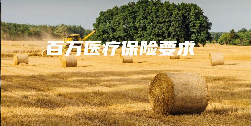 百万医疗保险要求-保点通