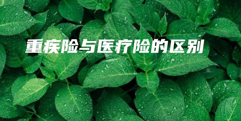 重疾险与医疗险的区别-保点通