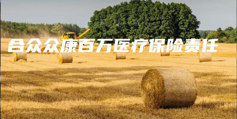 合众众康百万医疗保险责任-保点通