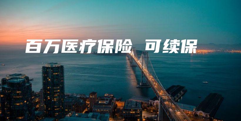 百万医疗保险 可续保-保点通