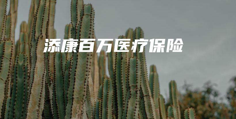 添康百万医疗保险-保点通