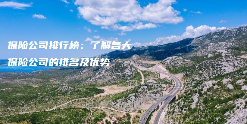保险公司排行榜：了解各大保险公司的排名及优势-保点通