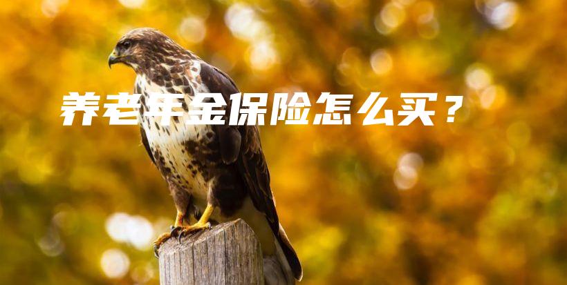 养老年金保险怎么买？-保点通