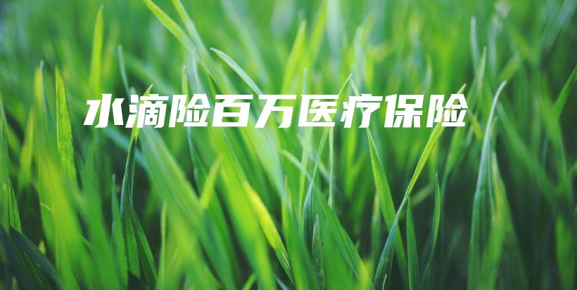 水滴险百万医疗保险-保点通