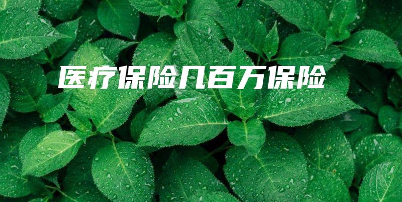 医疗保险几百万保险-保点通