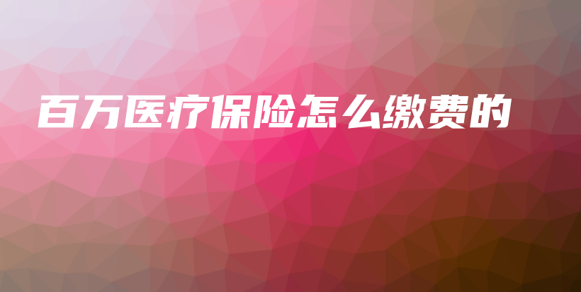 百万医疗保险怎么缴费的-保点通