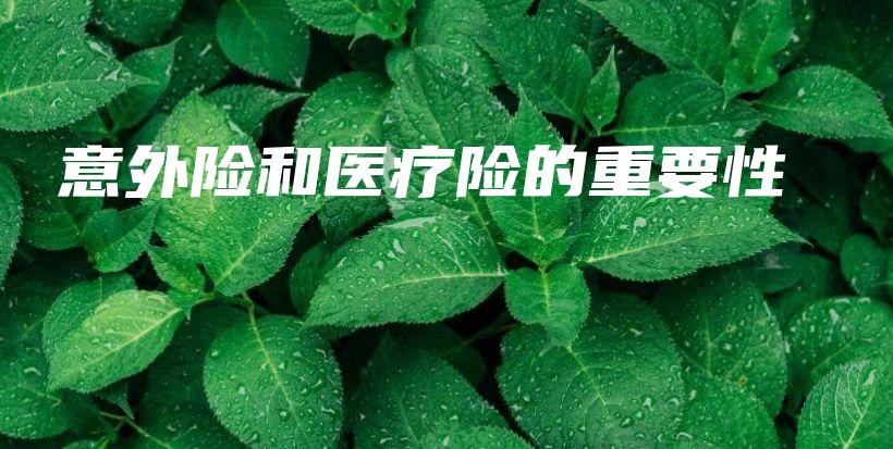 意外险和医疗险的重要性-保点通