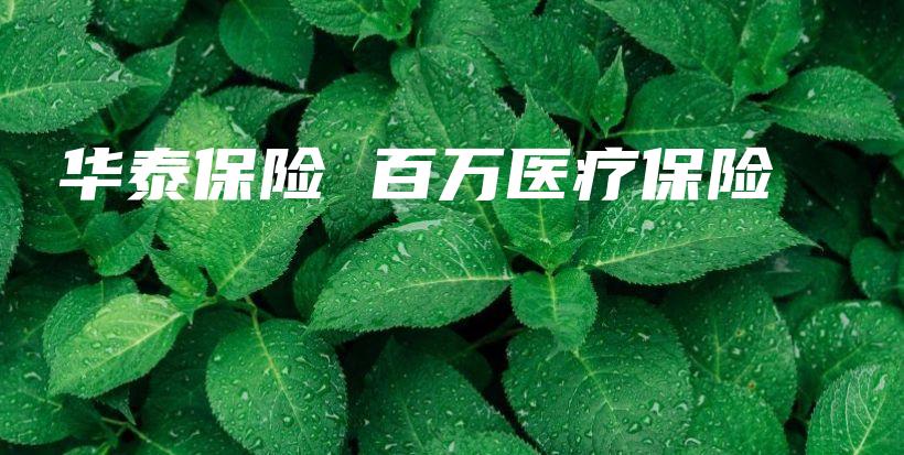 华泰保险 百万医疗保险-保点通