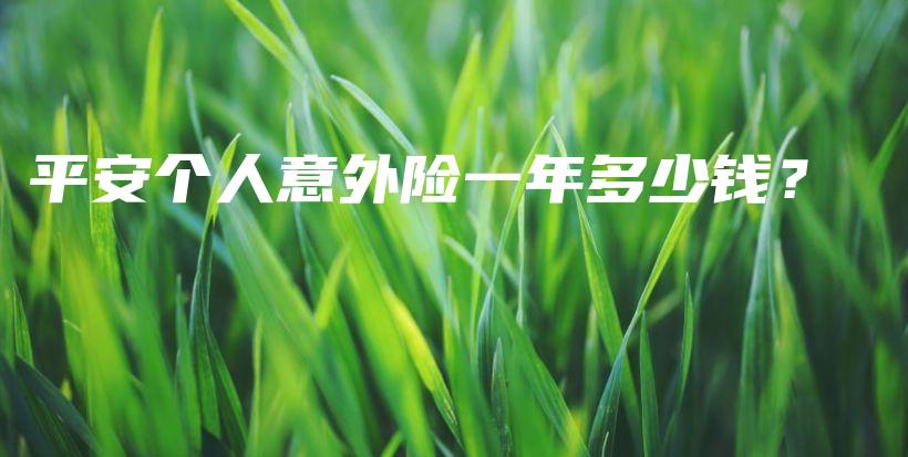 平安个人意外险一年多少钱？-保点通