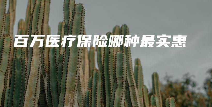 百万医疗保险哪种最实惠-保点通