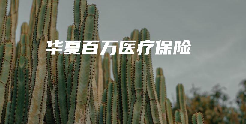 华夏百万医疗保险-保点通