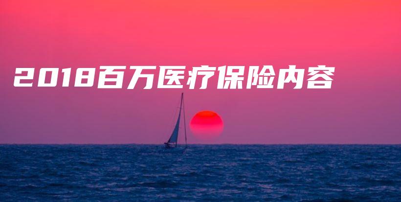 2018百万医疗保险内容-保点通
