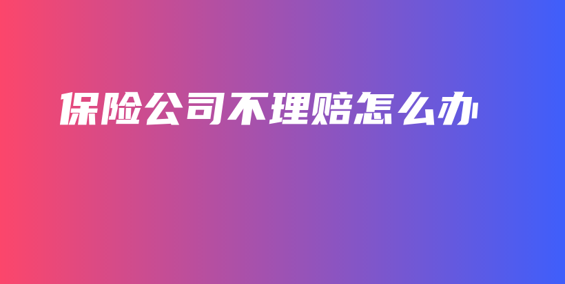 保险公司不理赔怎么办-保点通