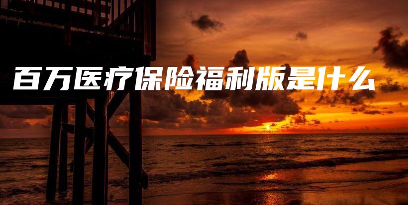 百万医疗保险福利版是什么-保点通