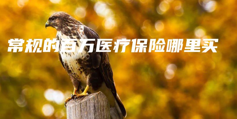 常规的百万医疗保险哪里买-保点通
