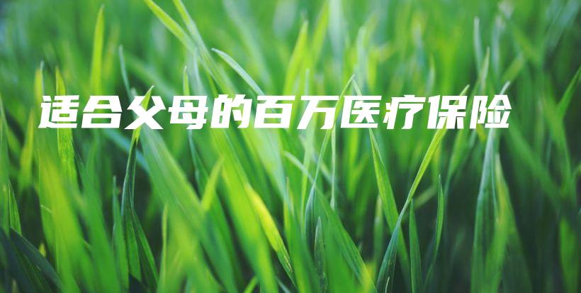 适合父母的百万医疗保险-保点通