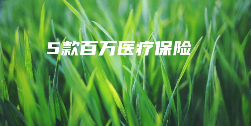 5款百万医疗保险-保点通
