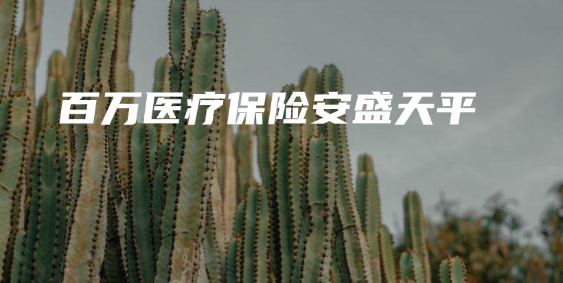 百万医疗保险安盛天平-保点通