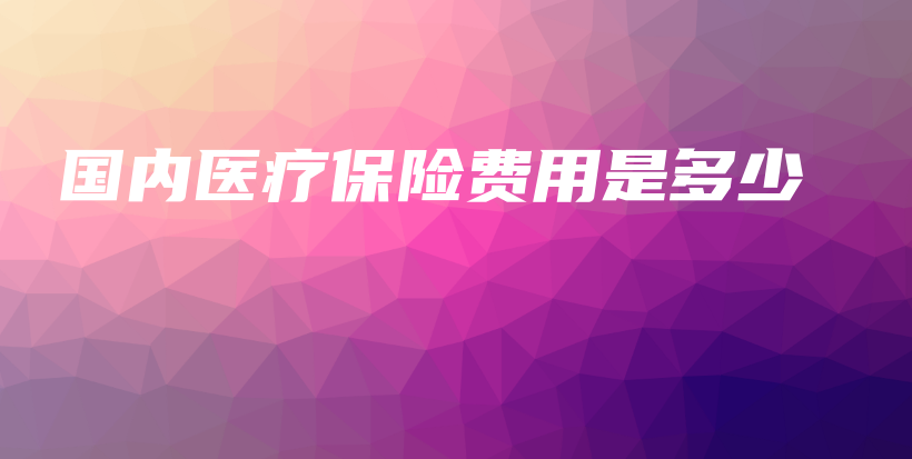 国内医疗保险费用是多少-保点通