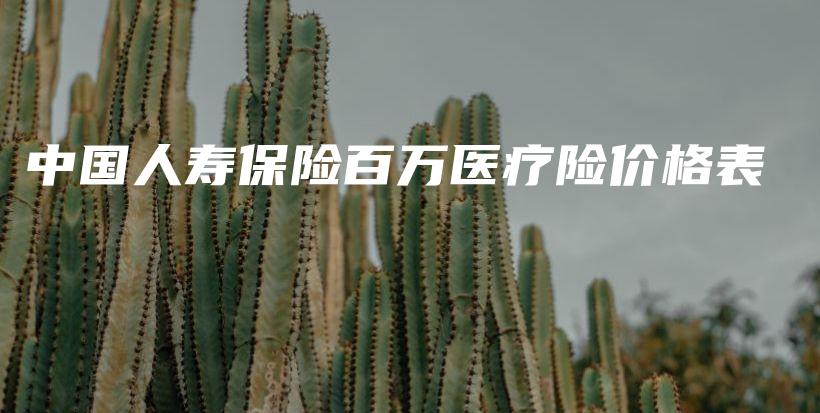 中国人寿保险百万医疗险价格表-保点通