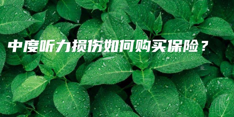 中度听力损伤如何购买保险？-保点通