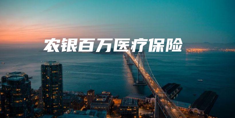 农银百万医疗保险-保点通