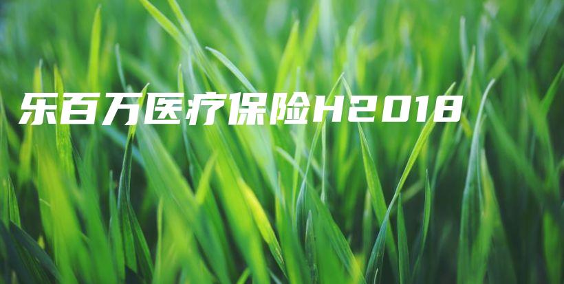 乐百万医疗保险H2018-保点通