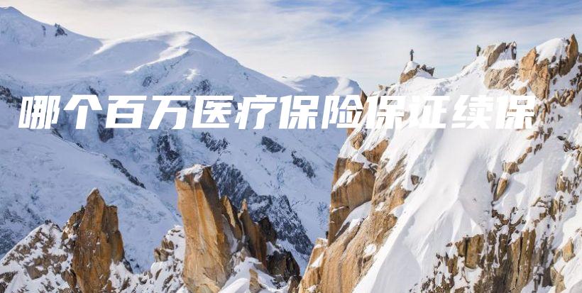 哪个百万医疗保险保证续保-保点通