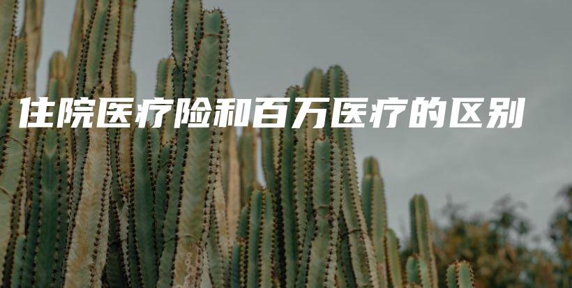 住院医疗险和百万医疗的区别-保点通