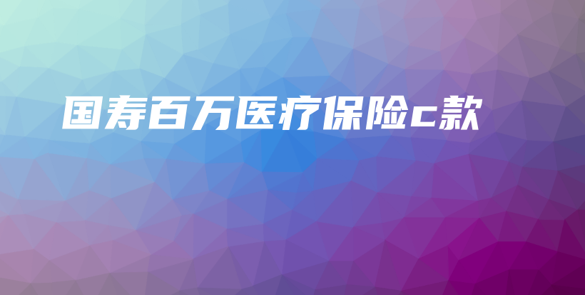 国寿百万医疗保险c款-保点通