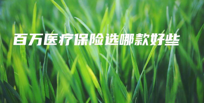 百万医疗保险选哪款好些-保点通