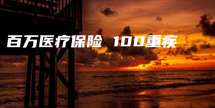 百万医疗保险 100重疾-保点通