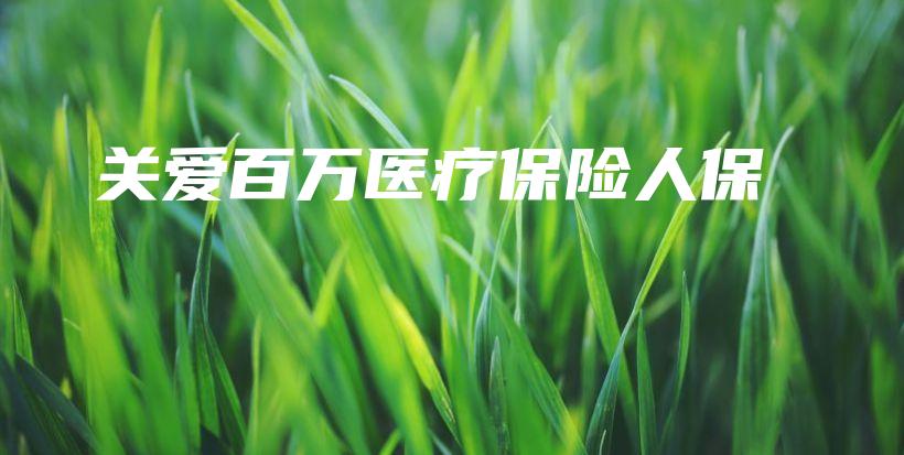 关爱百万医疗保险人保-保点通
