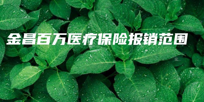 金昌百万医疗保险报销范围-保点通