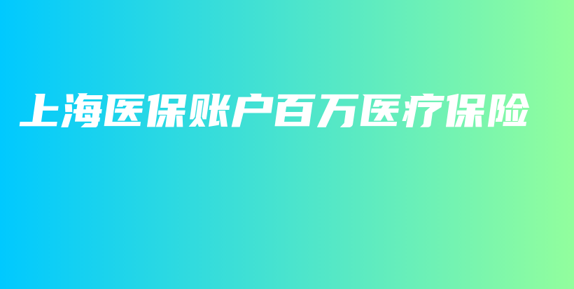 上海医保账户百万医疗保险-保点通