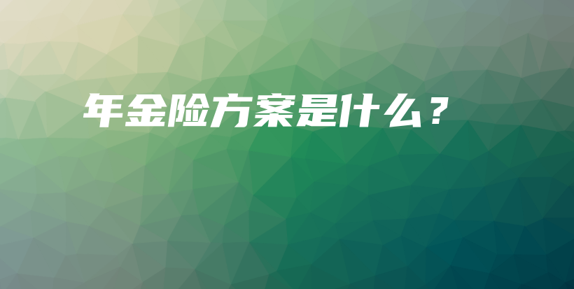 年金险方案是什么？-保点通
