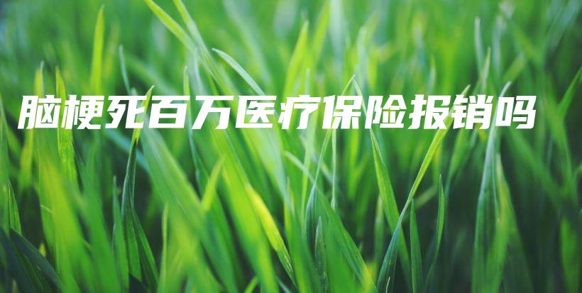 脑梗死百万医疗保险报销吗-保点通