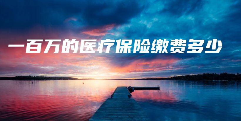 一百万的医疗保险缴费多少-保点通
