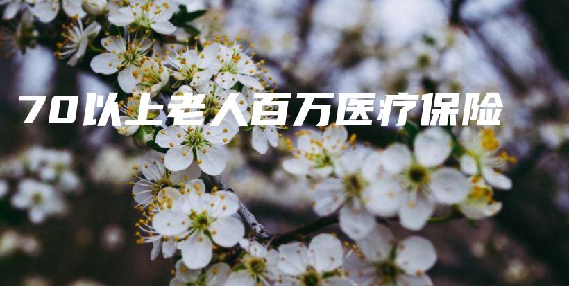 70以上老人百万医疗保险-保点通