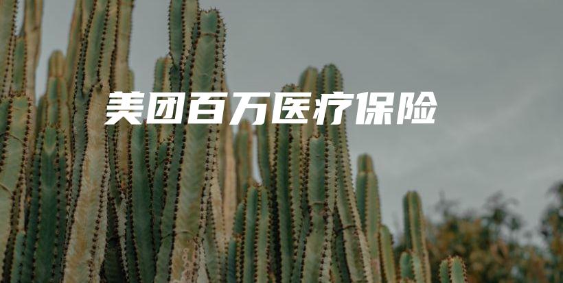 美团百万医疗保险-保点通