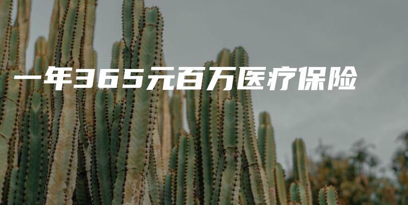 一年365元百万医疗保险-保点通