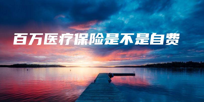 百万医疗保险是不是自费-保点通
