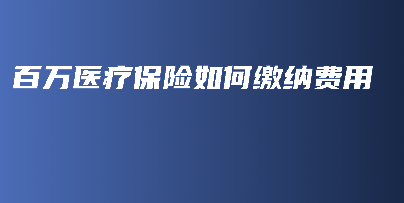 百万医疗保险如何缴纳费用-保点通
