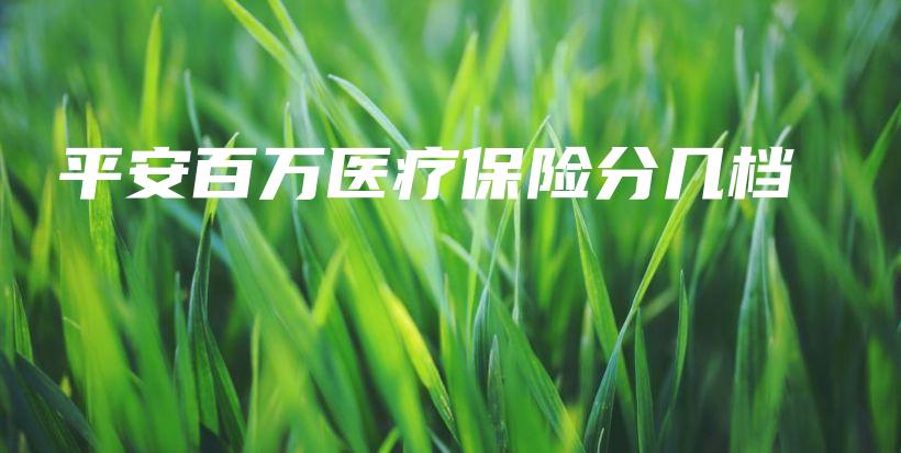 平安百万医疗保险分几档-保点通