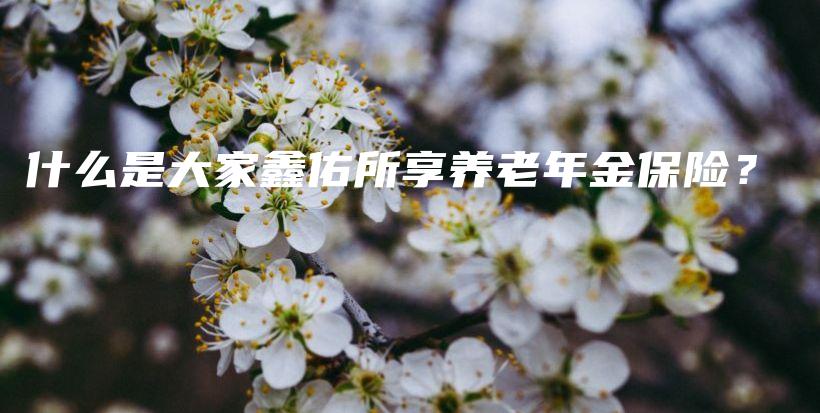 什么是大家鑫佑所享养老年金保险？-保点通