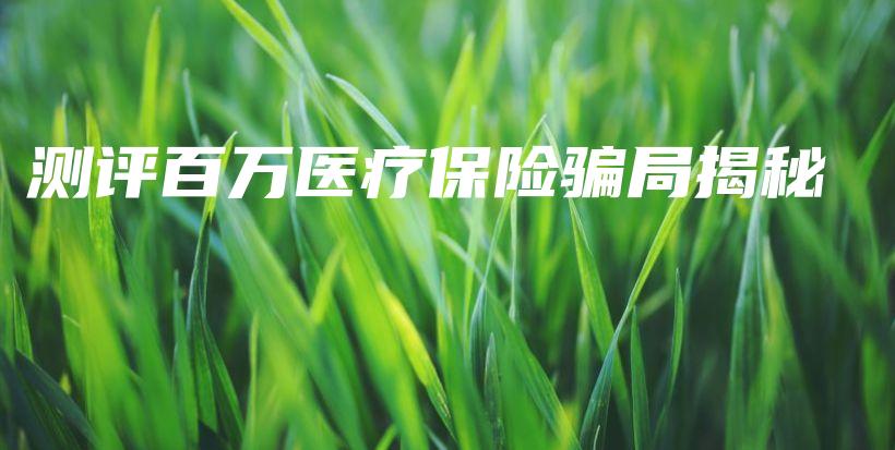测评百万医疗保险骗局揭秘-保点通