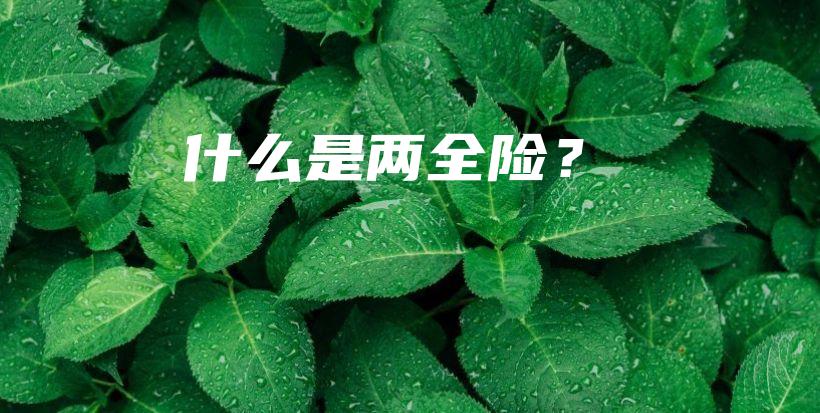 什么是两全险？-保点通